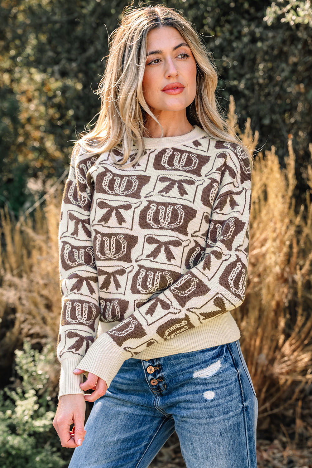 Brown Bows & Horseshoes Pattern Western Fashion Print Sweater