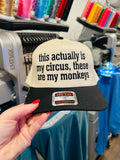 this is actually my circus, these are my monkeys hat