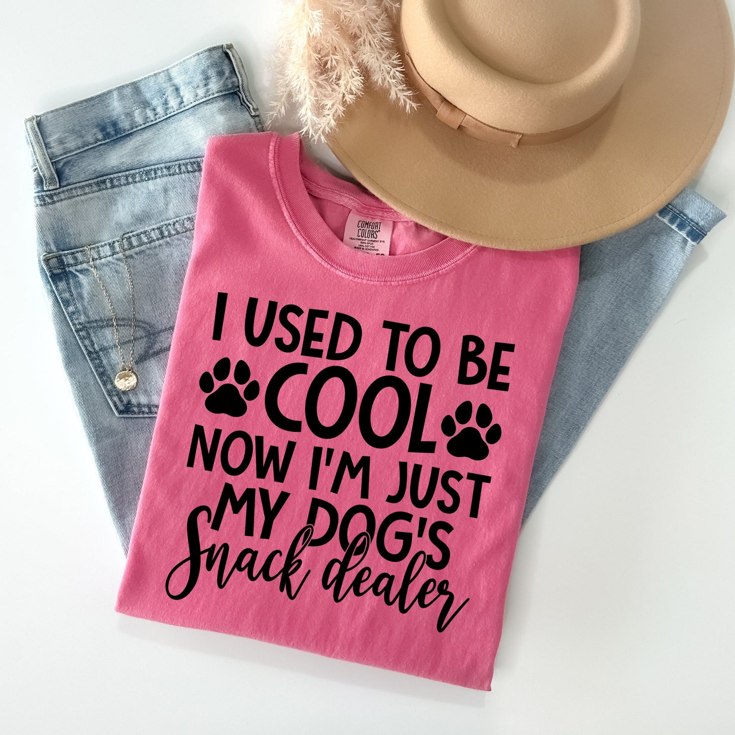 I Used to Be Cool - Comfort Colors Graphic Tee